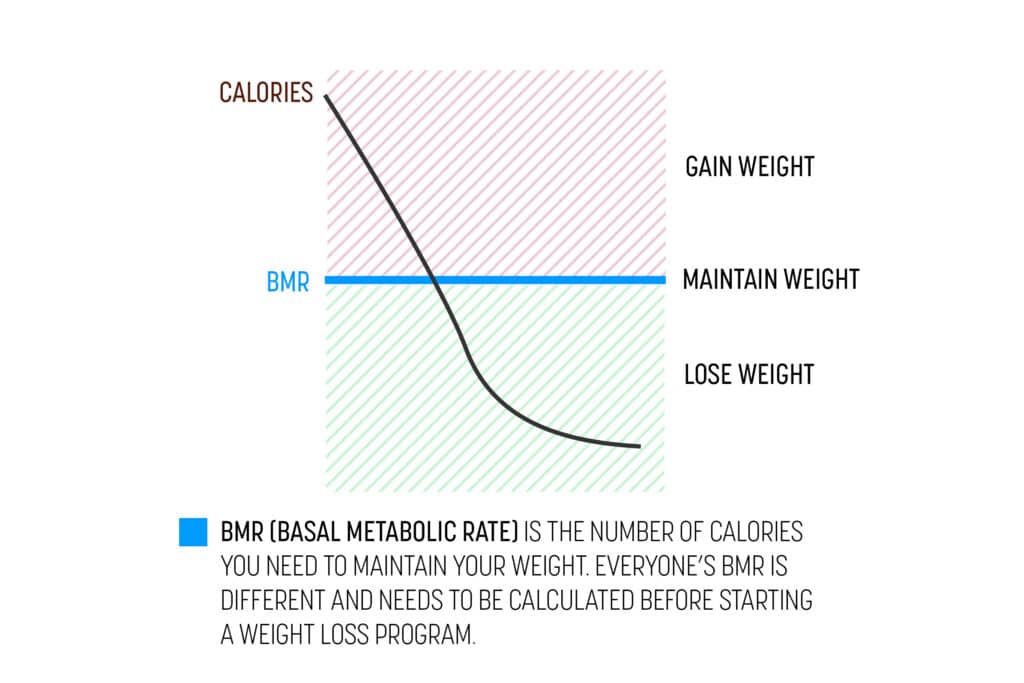 Basal metabolic rate illustration