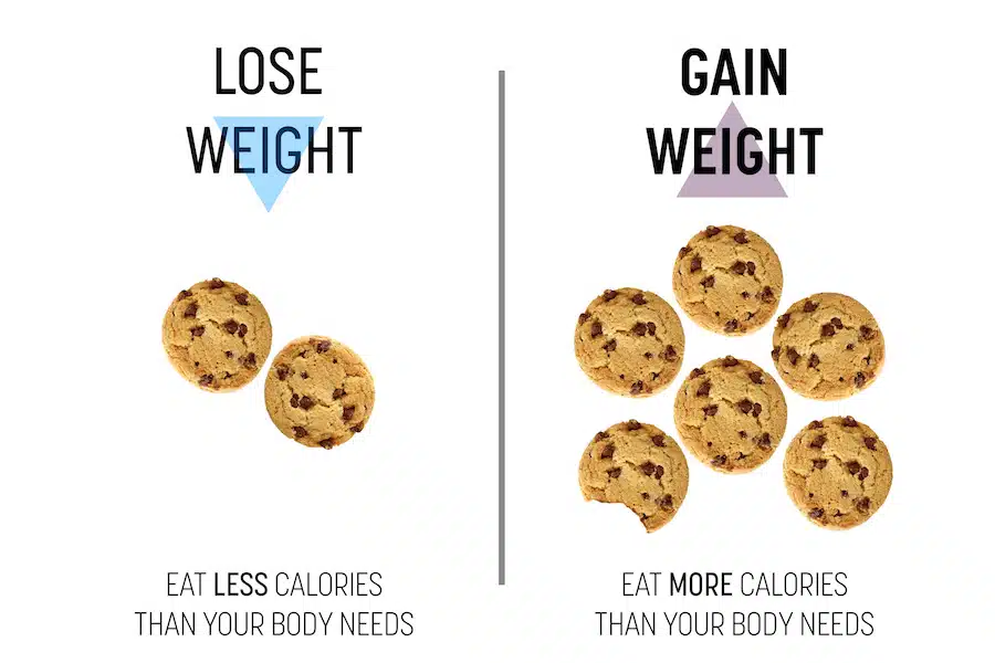 All About Calories illustration