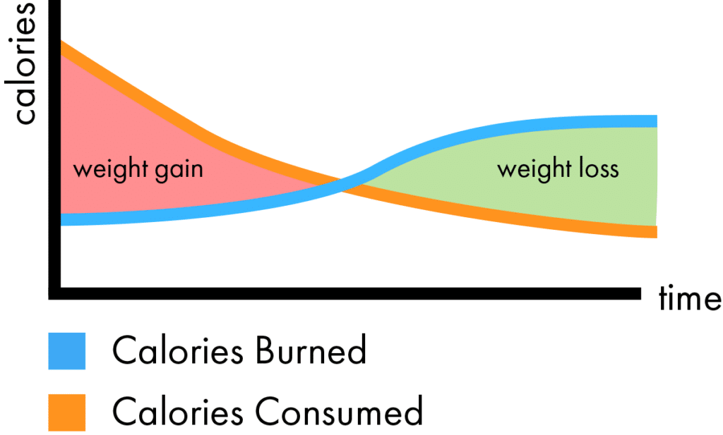 Calorie deficit from exercise illustration