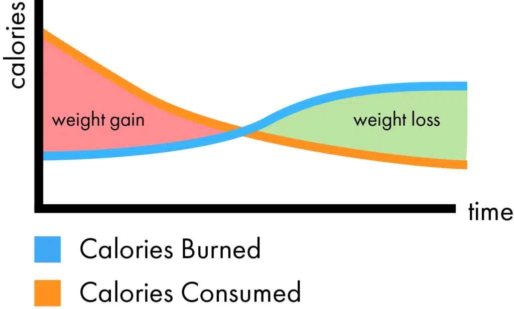 Calorie deficit from exercise illustration