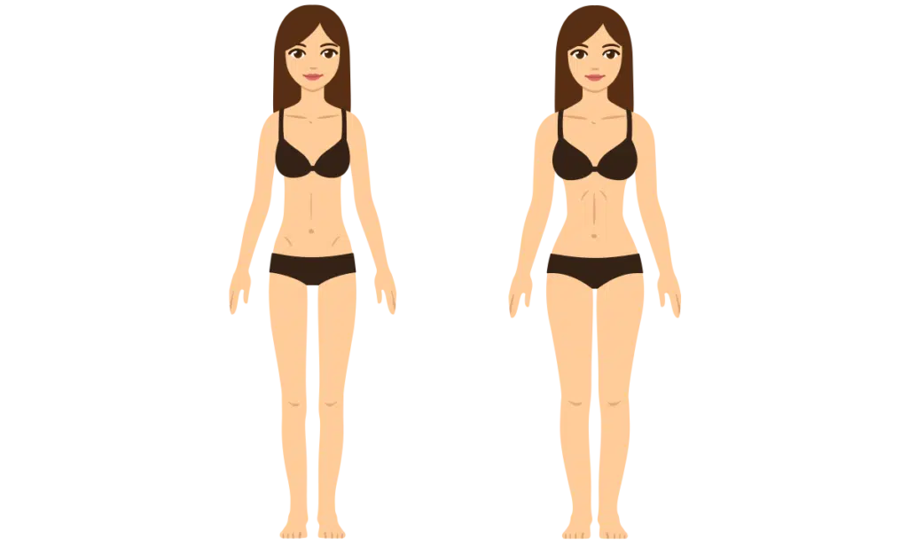 Body composition comparison illustration