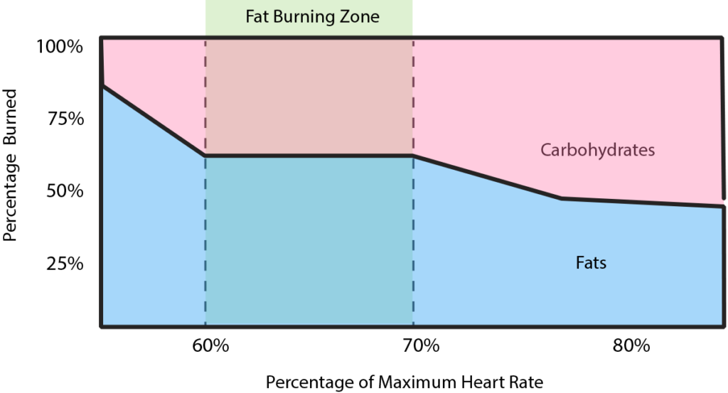 Fat burning zone heart rate chart