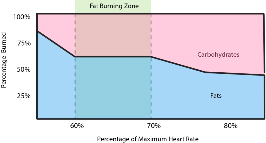 Fat burning zone heart rate chart