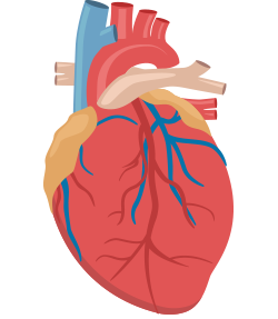 Heart rate icon