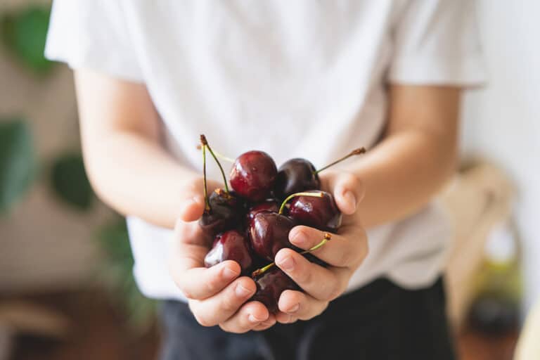 Tart Cherry Juice Trend on Tik Tok Good for Weight Loss?