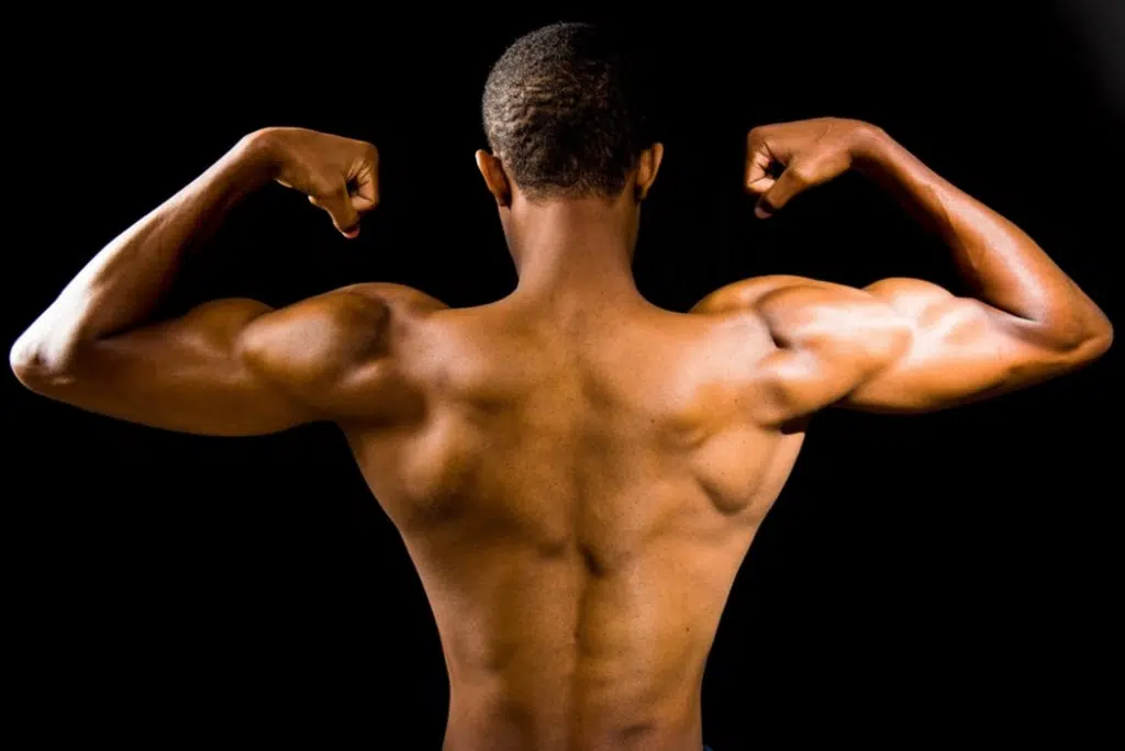 Exercise, fat loss and muscle retention module illustration