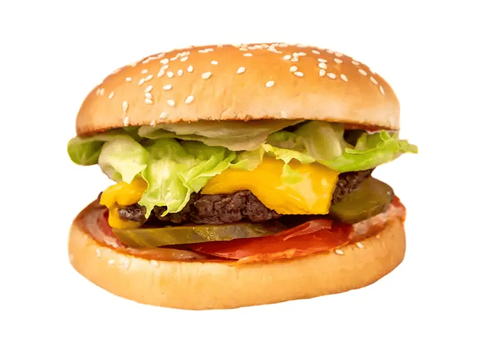 Fast food and weight loss module illustration